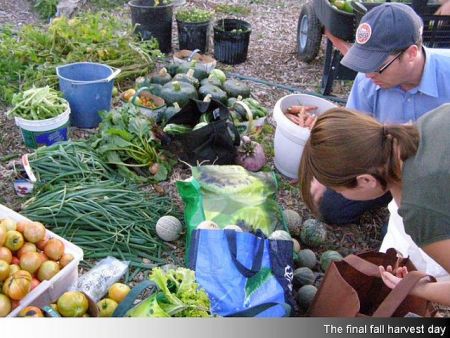 A growing interest in local food has led to several new initiatives supporting new farmers, connecting residents to local food, and advocating for good local food policies.  (Photo from The Foodshed Project)