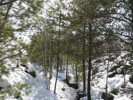 New natural parks like this one are one important way significant natural areas are being protected.  (Photo by Naomi Grant)