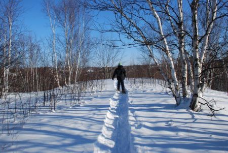 Southview Greenbelt.  The Ward 1 Councillor championed this green space, resulting in a creative deal with the School Board to bring the balance of the greenbelt into the parks system.  (Photo by Laura Young)