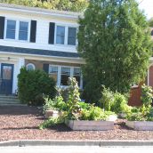 Gardens that replace lawns -  a walk through a  downtown Sudbury neighbourhood