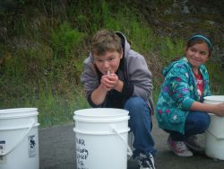 MEDIA RELEASE: Junction Creek Festival